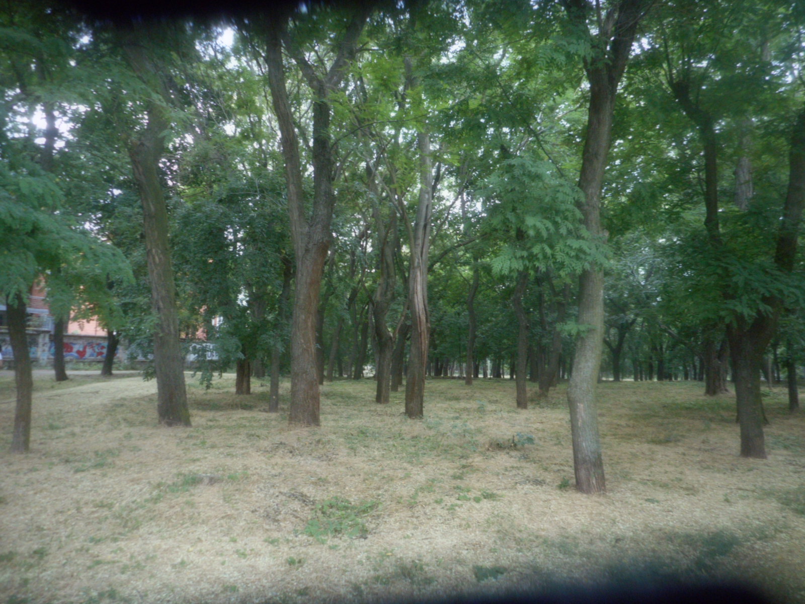 Ševčenkův park
