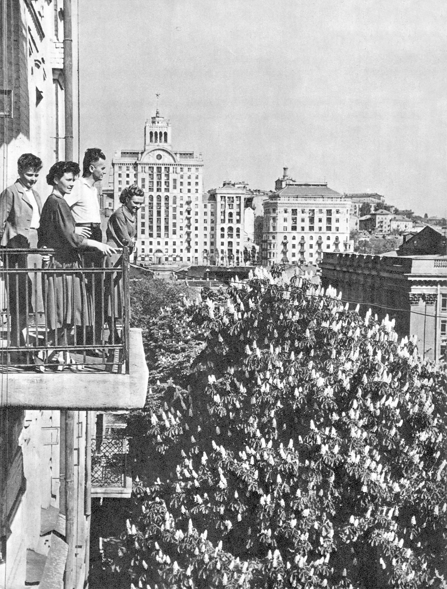 Kaštany v Kyjevě 1960