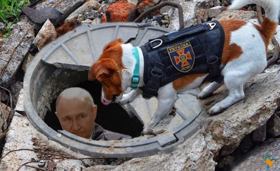 Patron našel Putina v kanále
